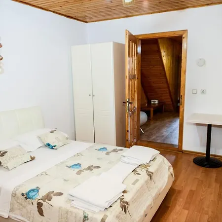 Guest house Casa Coralia Navodari
