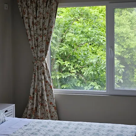 Casa Coralia 3* Нэводари