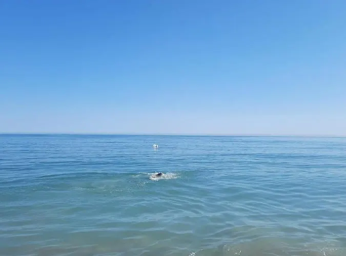 Casa Coralia Vendégház