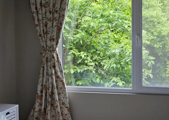 Casa Coralia 3* Năvodari